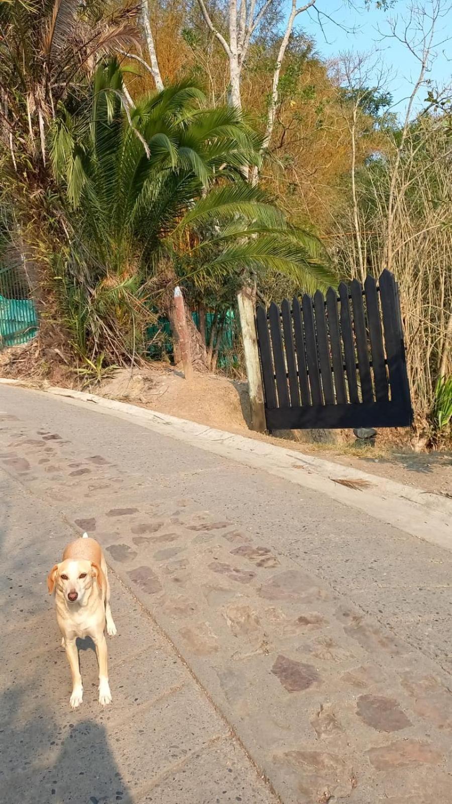 Skale Peregrino Konuk evi Choachí Dış mekan fotoğraf